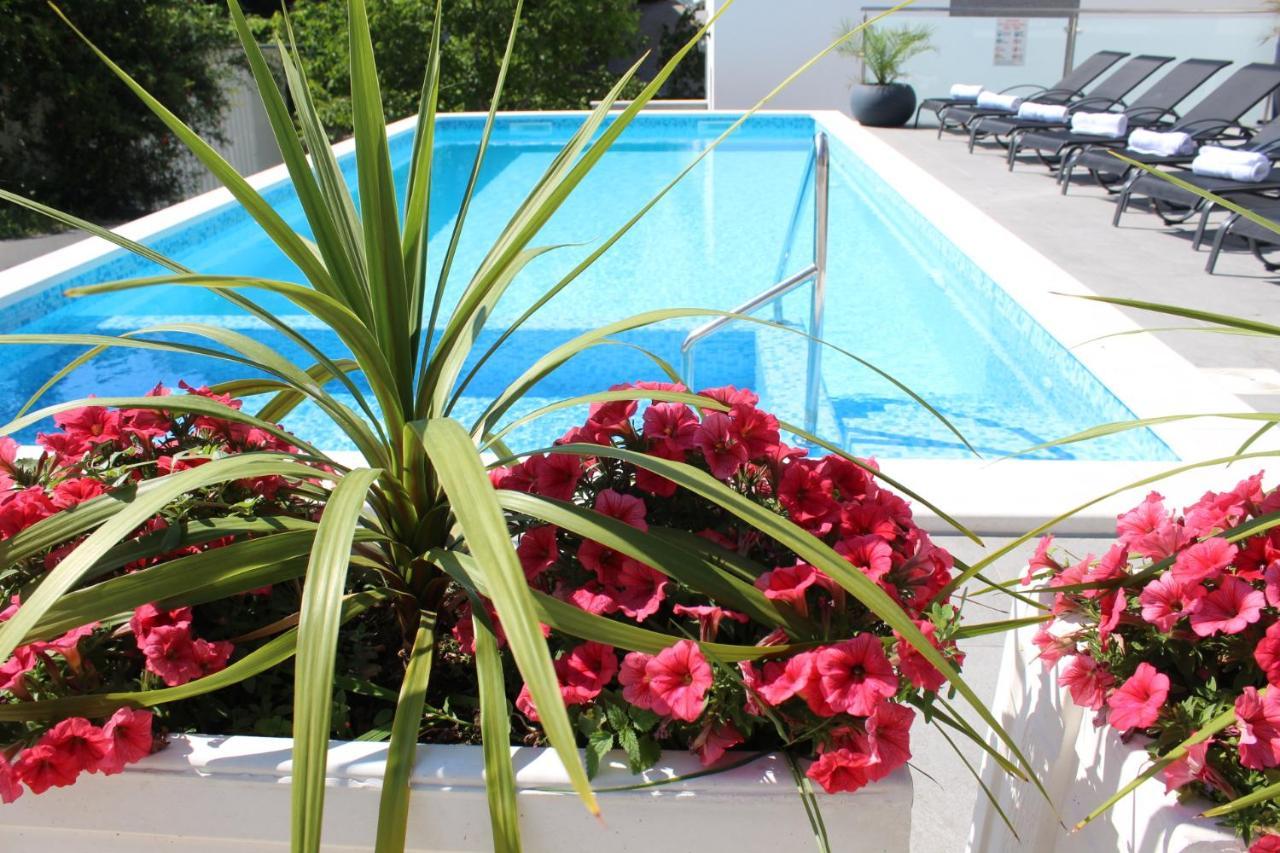 Luxury Apartment Antoni Подстрана Екстериор снимка